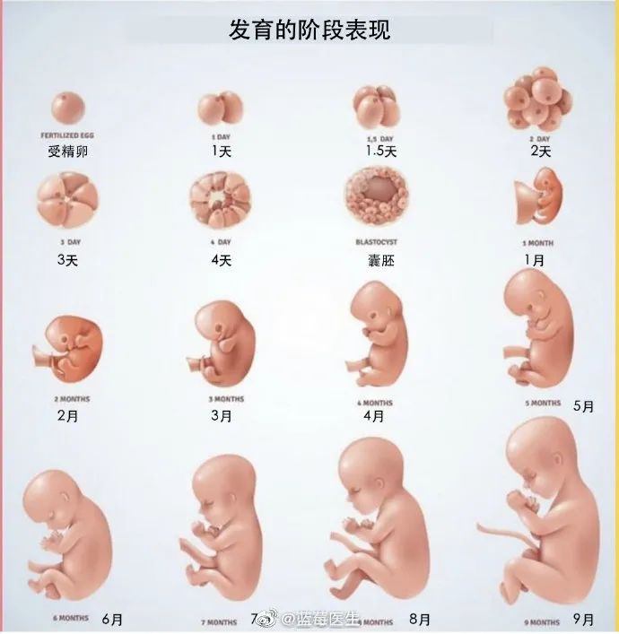 今日全宇宙最涨姿势的十张图