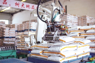 平罗：重点项目为高质量发展注入不竭动能