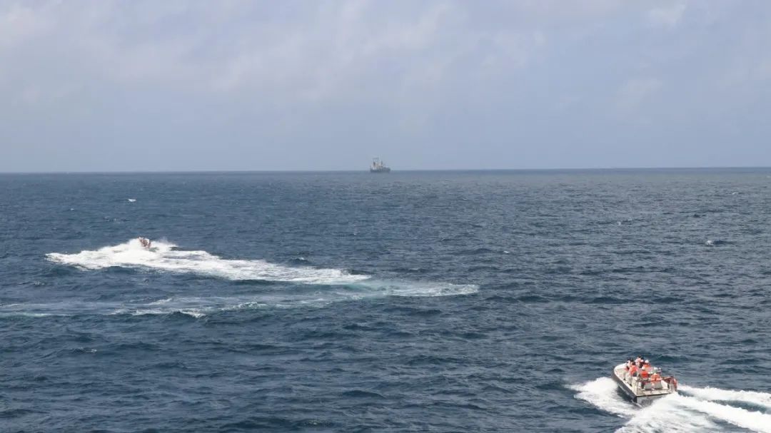 中国海警破特大走私案:查扣白糖6600吨 涉案至少123亿