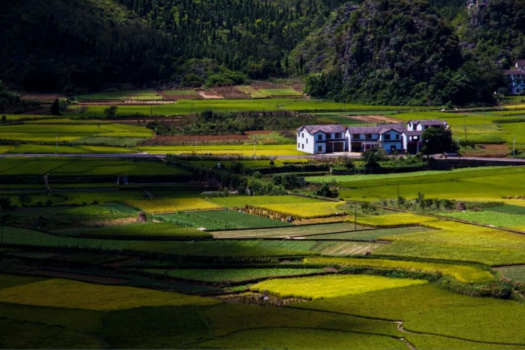 万峰林/夏俊杰摄