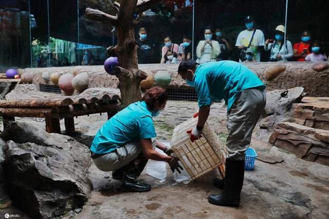 北京动物园饲养员高温天主动加班给动物防暑