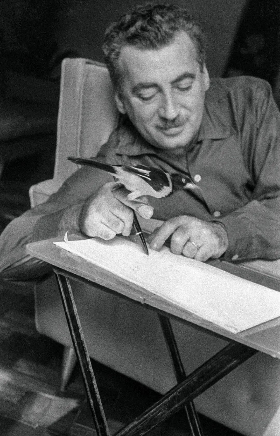 外国文学史上的今天巴西作家若热亚马多逝世19周年