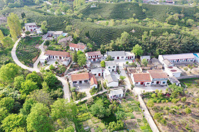 信阳浉河区:美丽乡村入画来