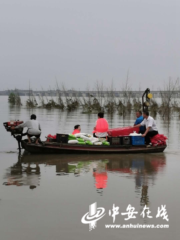 【记者在一线】“流动菜市”进庄台 群众能吃上新鲜的瓜果了休闲区蓝鸢梦想 - Www.slyday.coM