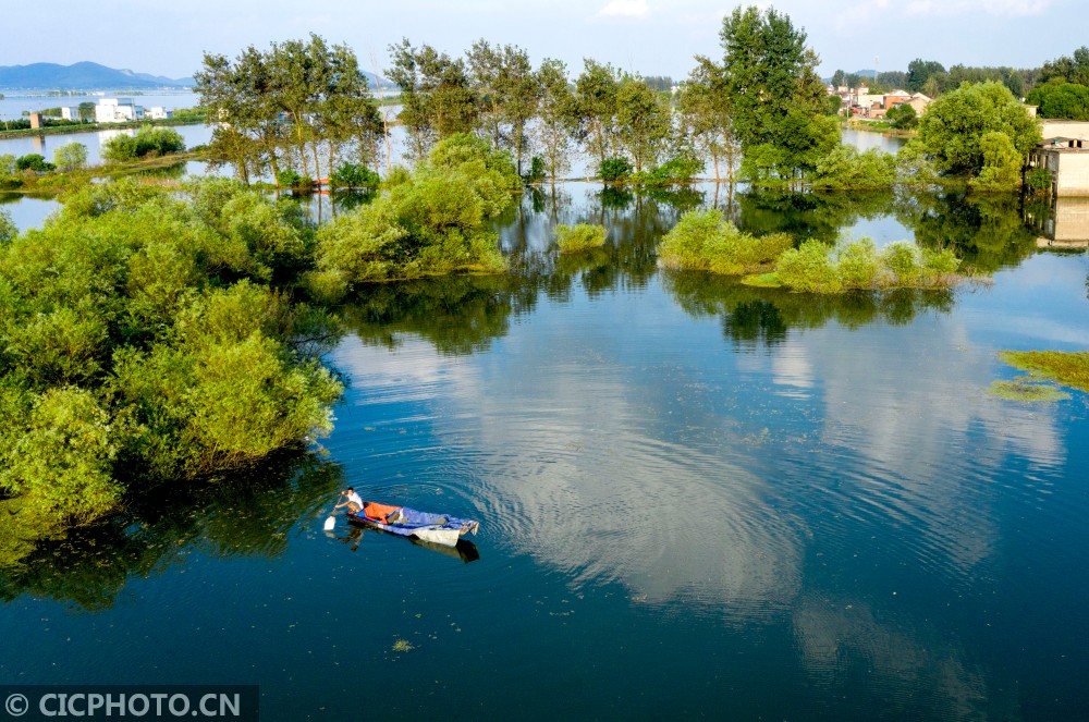 安徽庐江:科学治理水环境 水清岸绿百姓乐|巢湖流域|庐江县|白湖镇