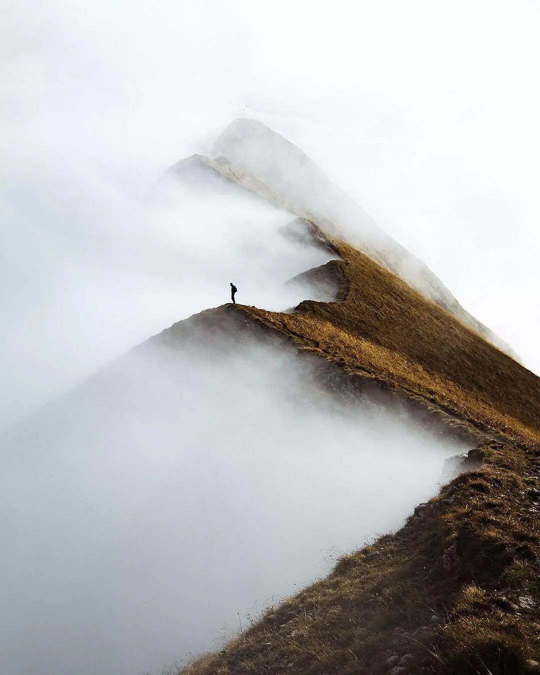 留白|构图|摄影_新浪新闻