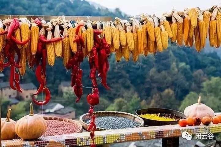 立秋古诗词与风俗习惯|秋风|风俗|梧桐_新浪新闻
