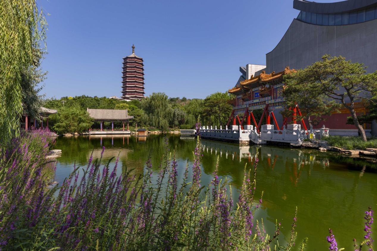 2020丰台文化和旅游消夏季活动拉开帷幕