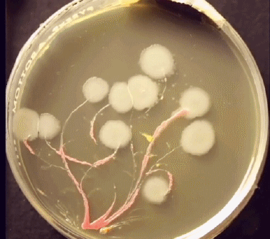 ▲图片来源网络