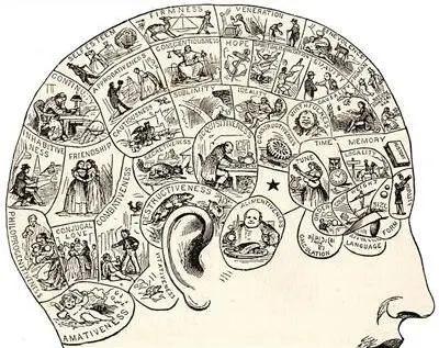 历史科学与伪科学之间从颅相学到大脑分区