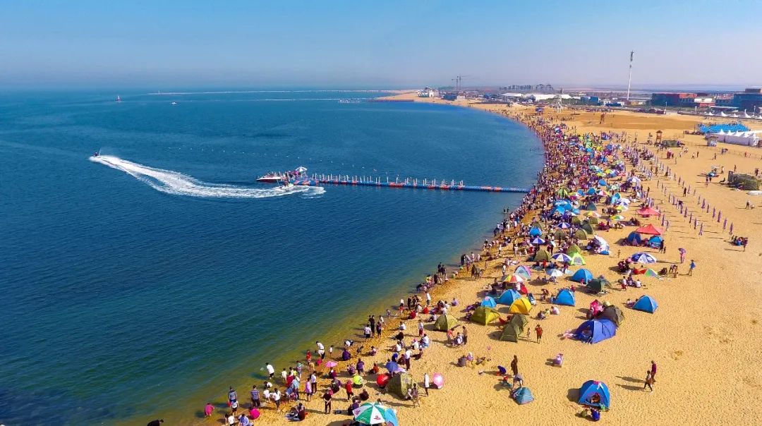 急需紧缺人才!|开发区|潍坊滨海|滨海区_新浪新闻