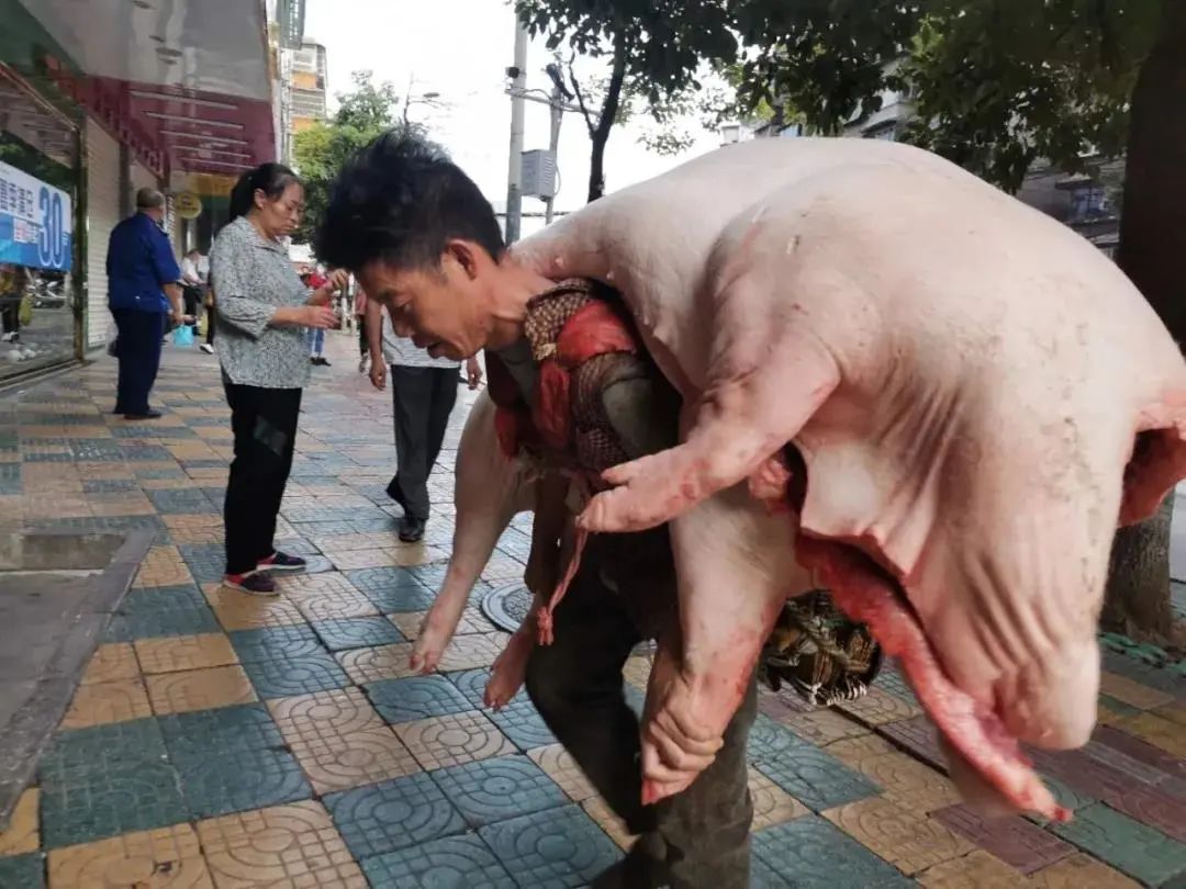 硬核!110斤男子一趟扛起480斤猪肉,用双肩养活一家