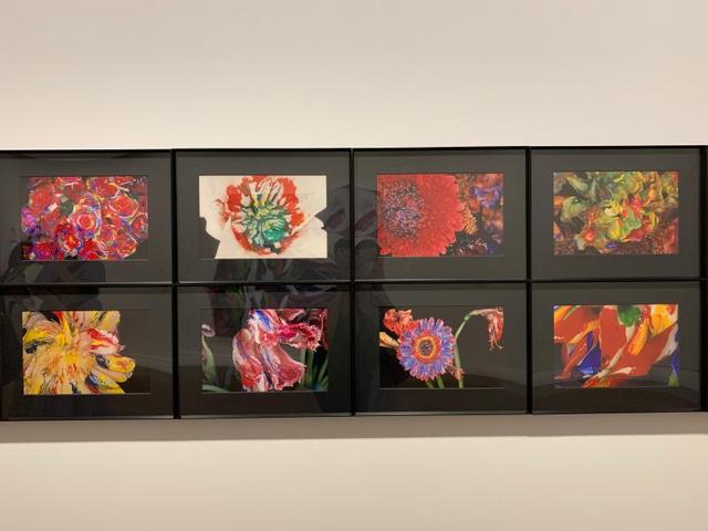 影响力的摄影家之一荒木经惟,这次展出的《色情花》系列摄影作品明艳