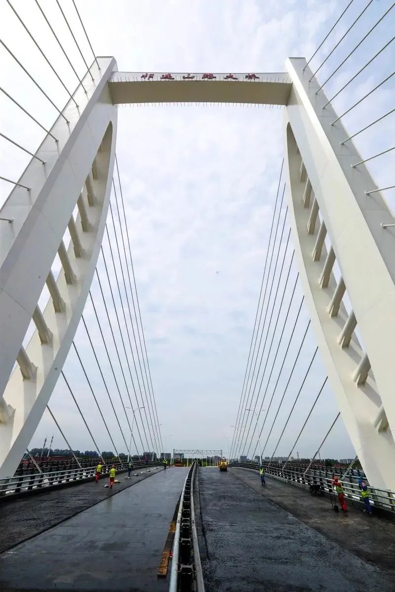 交通宝山帆船大桥开铺沥青明年可具备通车条件
