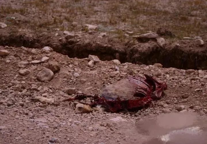 67青海女大学生失联27天后离世现场照片曝光如果人生太难请放过自己