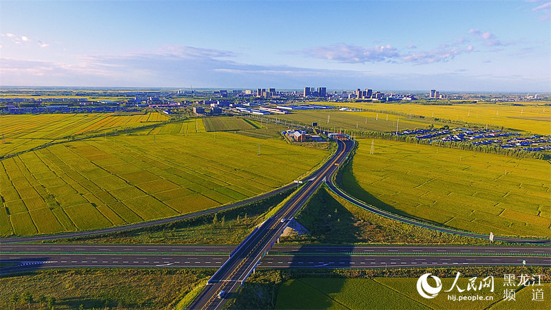 【云游龙江】这里是绥化|绥化|摄影家|兰西县_新浪新闻