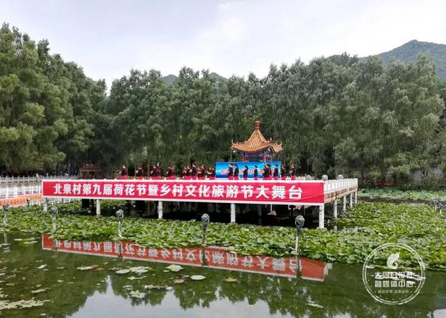 为荷而来塞上江南的北泉村这些天真红火