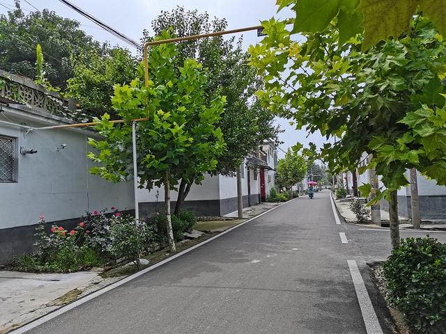 济宁曲阜市石门山镇开展人居环境整治 扮靓乡村新"颜值"