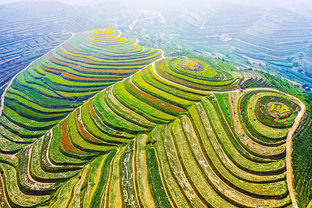 一任接着一任实干 建成今日秀美山川——关于彭阳县小流域综合治理的