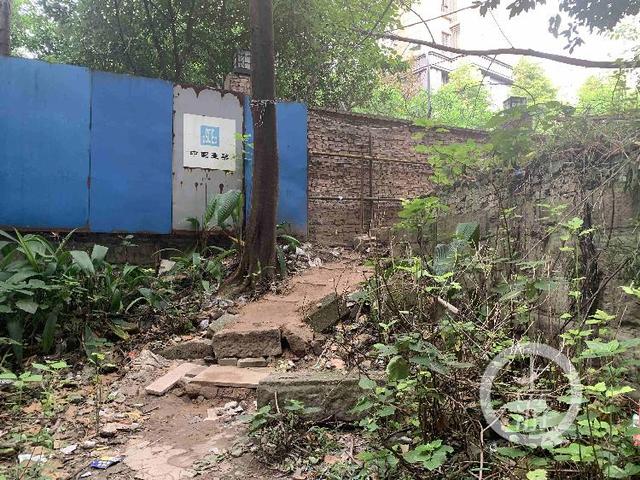 现实版愚公移山记：金茂珑悦小区居民自发挖出“上学小道”休闲区蓝鸢梦想 - Www.slyday.coM