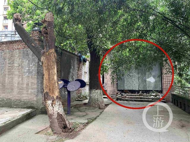 现实版愚公移山记：金茂珑悦小区居民自发挖出“上学小道”休闲区蓝鸢梦想 - Www.slyday.coM