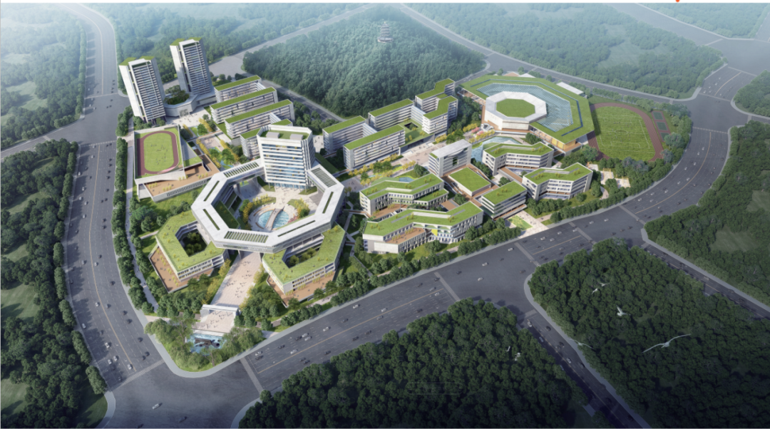 2020年广州公办初中_2020年广州51所初中中考成绩汇总大揭秘!!(2)