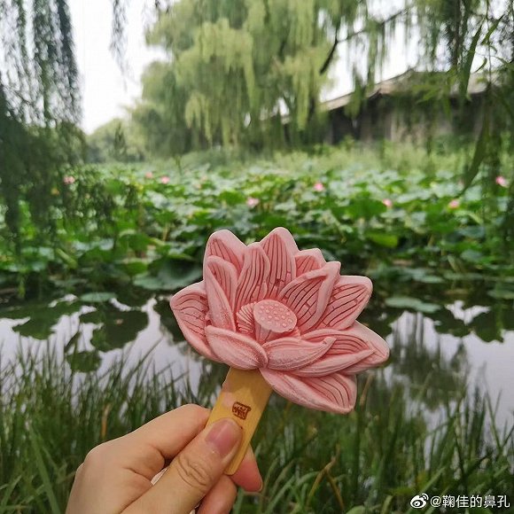 圆明园的荷花雪糕 图片来源：微博@鞠佳的鼻孔