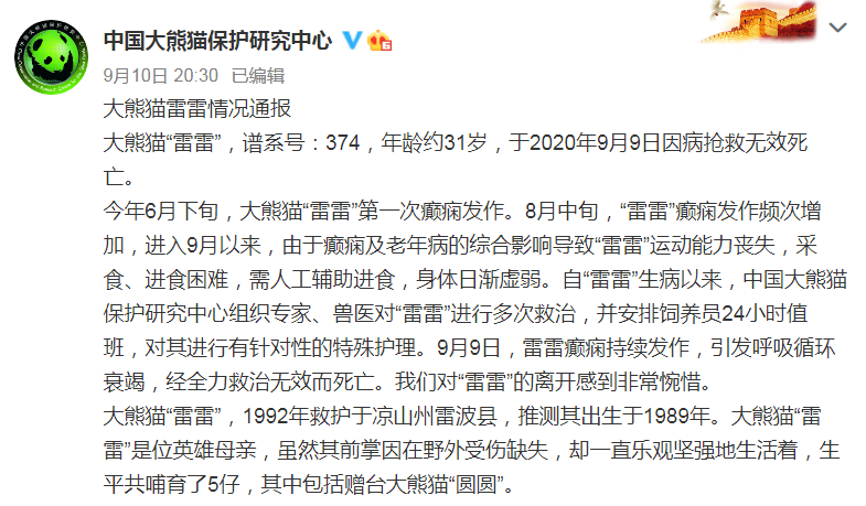 大熊猫雷雷因癫痫发作死亡曾哺育5仔