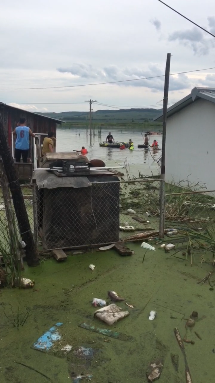 8月17日,荣华村西边,民警和"水鬼"正在打捞村民赫明信的遗体.