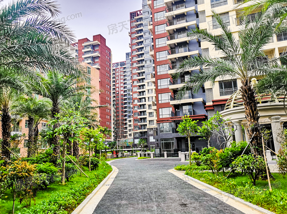 金海湾三期丨人生中的"小确幸",特价单位来袭!