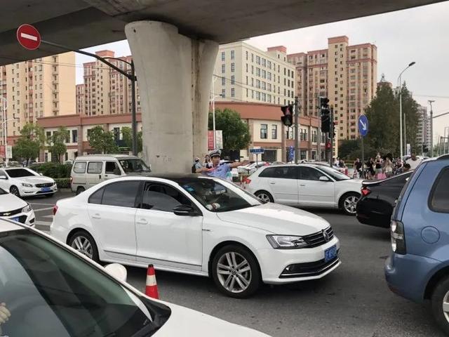 上午十点,记者来到野生动物园,主入口前的南六公路车辆已经排成长队