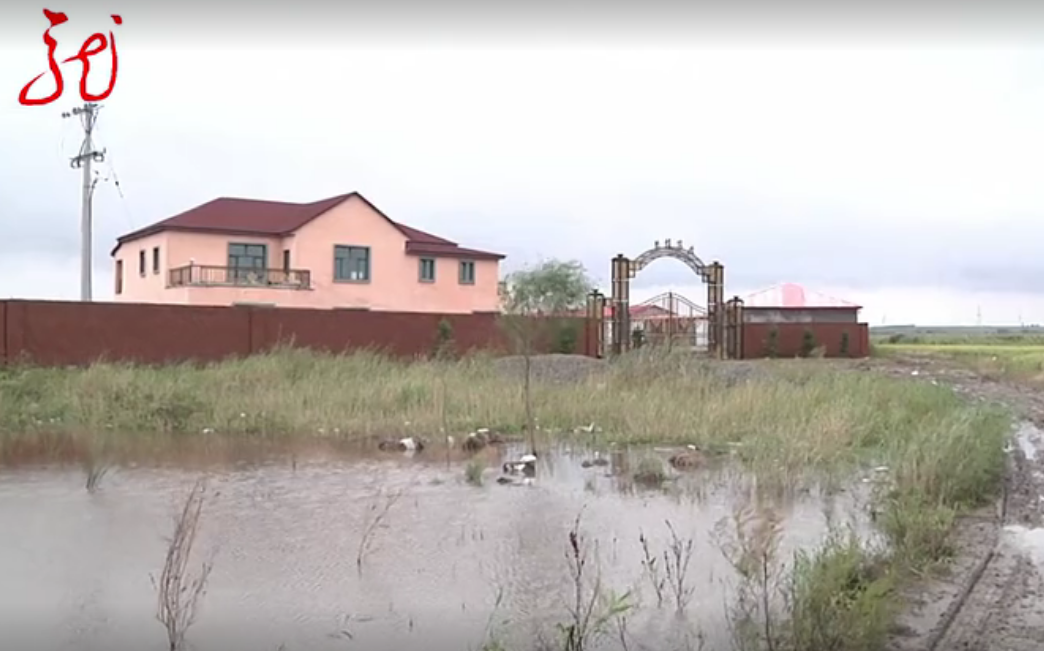 哈尔滨市双城区临江乡松江村 居民 胡忠芳四外圈全用坝圈上的,圈完他