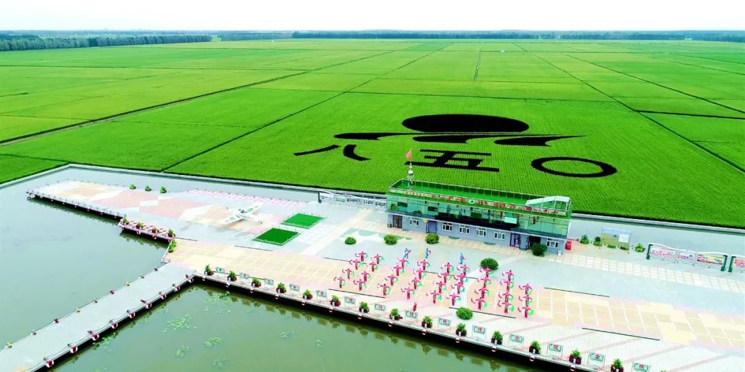 北大荒|农场|大地_新浪新闻