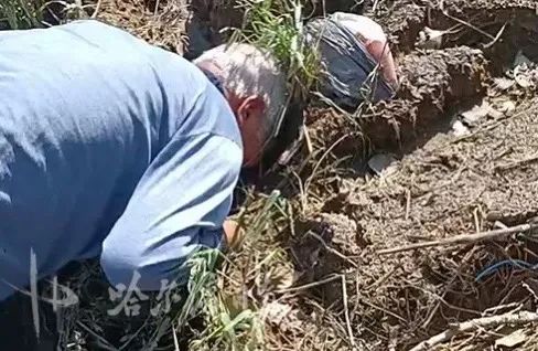 “快！下车救人”！哈尔滨一公交司机发现路边一老人趴在粪坑里，紧急停车！休闲区蓝鸢梦想 - Www.slyday.coM