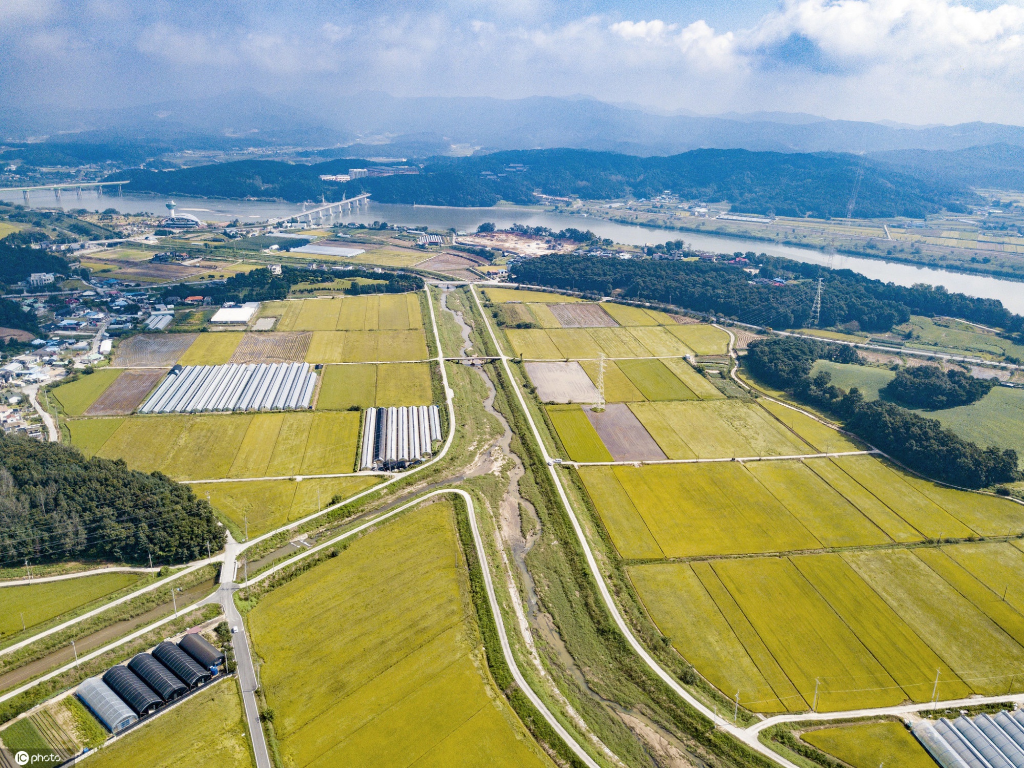 俯瞰韩国水稻收割迎秋天02画面唯美犹如水墨画