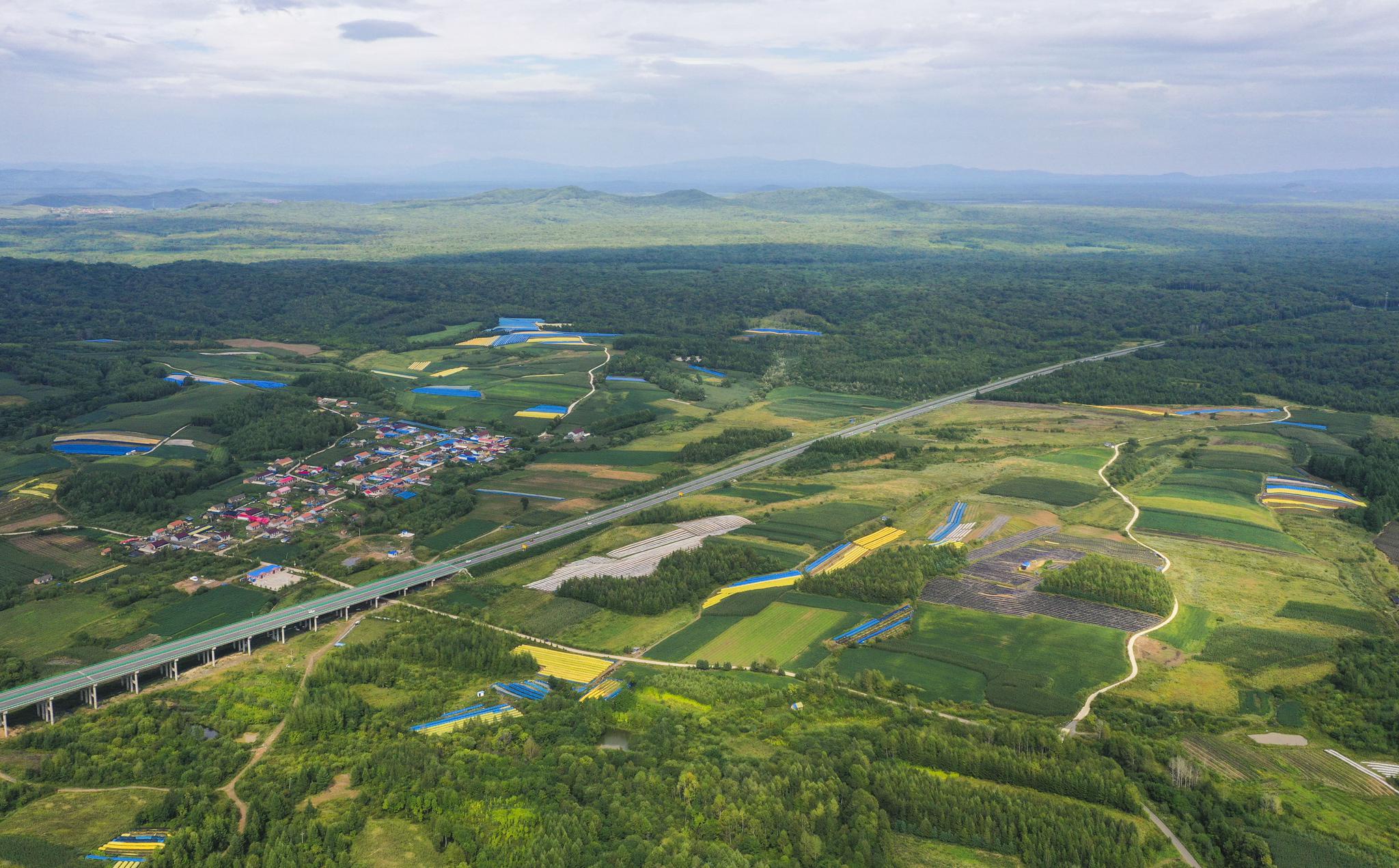 这是无人机拍摄的吉林省抚松县万良镇周边村镇的人参种植大棚.