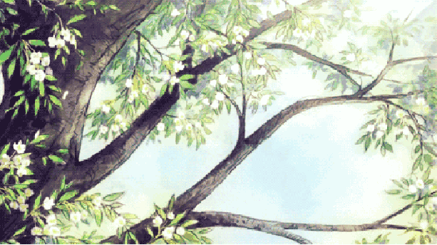 613_344gif 动态图 动图