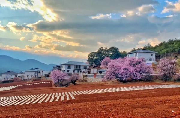 迪庆州两个村庄入选第二批全国乡村旅游重点村|迪庆州|尼西|黑陶_新浪