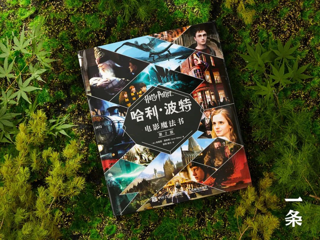 我的天 这是我离 哈利 波特 魔法世界最近的一次 哈利 波特 新浪财经 新浪网