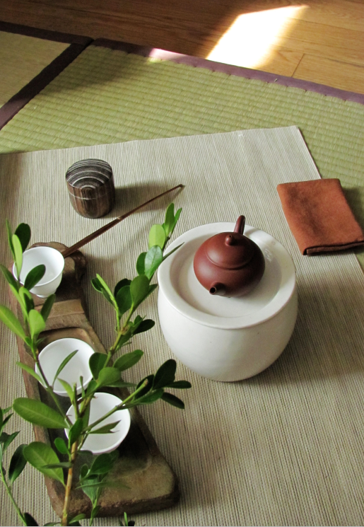 不是只有"懂"的人才有资格爱茶