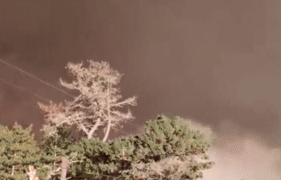 近期，美国西部山火席卷旧金山湾区，数万人被疏散。来源：中新视频