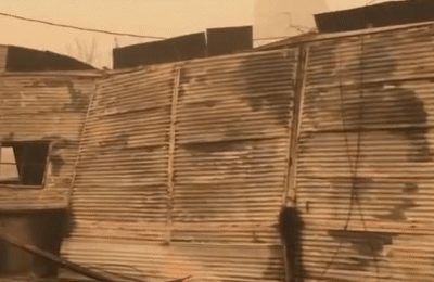  近期，美国西海岸山火已致30余人死亡，数十万人紧急疏散。在加州，大火已摧毁了4000多座建筑物。来源：中新视频