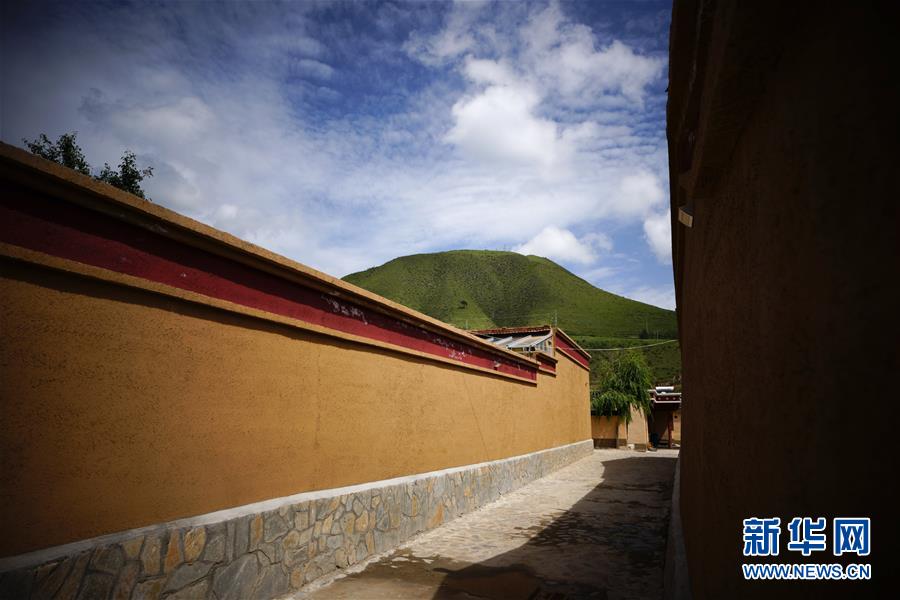 这是8月13日拍摄的甘肃省甘南藏族自治州卓尼县博峪村一景。新华社记者 邢广利 摄