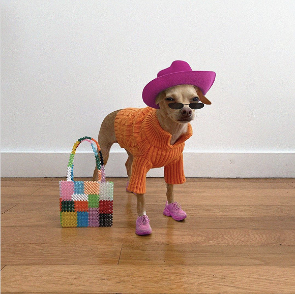 这个时尚品牌的创始"人"是一只狗