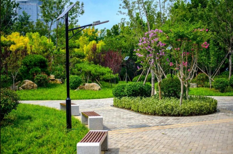 又添好去处!济南燕翅山西坡山体公园完成绿化改造近期开放