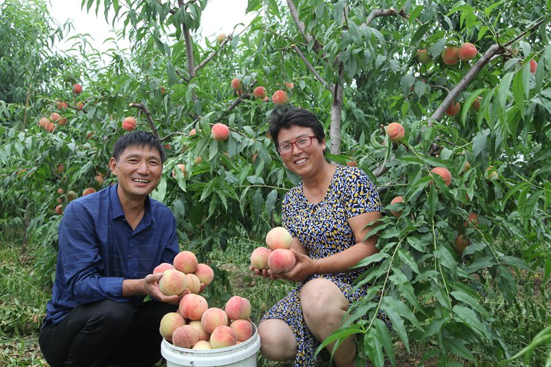 河南杞县:乔集村贫困群众的幸福生活|农民|贫困户_新浪新闻