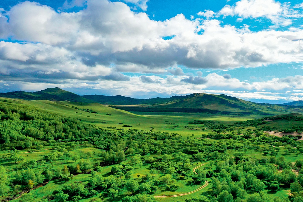 内蒙古赤峰市阿鲁科尔沁草原美景(6月3日摄)    刘磊摄/本刊做大做强