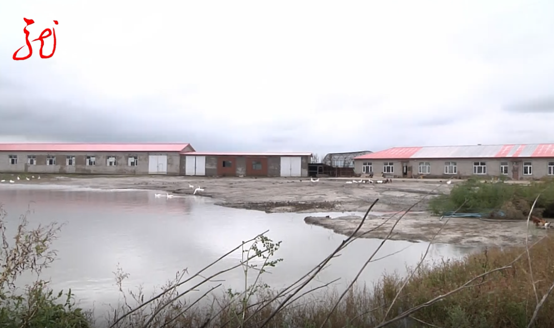 村里积水严重村民说是因为牧业公司违建修堤坝乡里却说是这堤坝救了