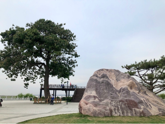 黑岗口观景台坐落在开封黄河黑岗口生态修复绿化景观工程项目区.