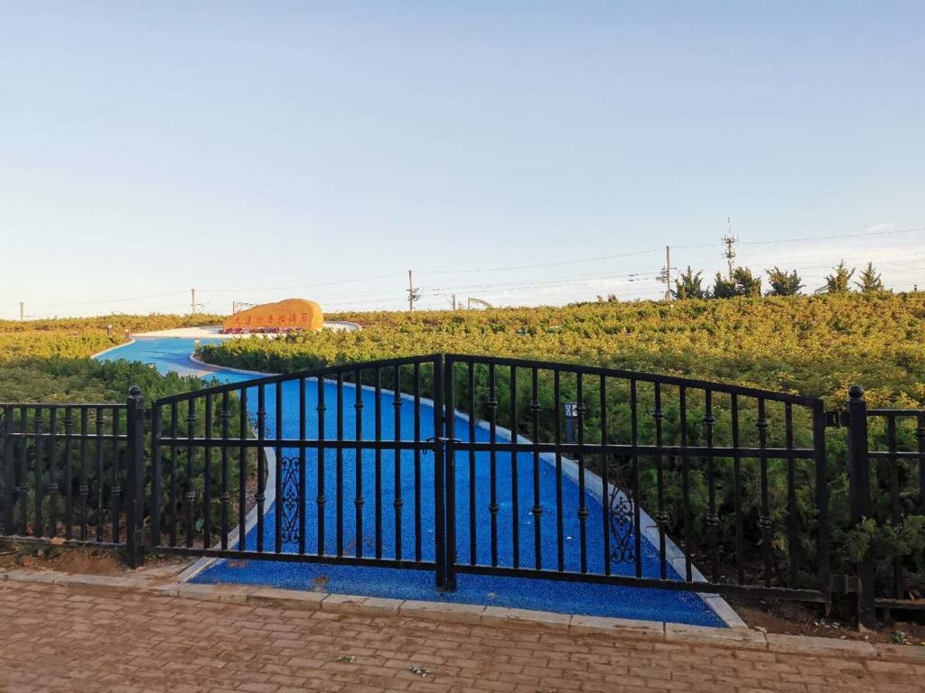 "冷香玫瑰园"为啥不开放?官方答复:可乘火车观赏风景